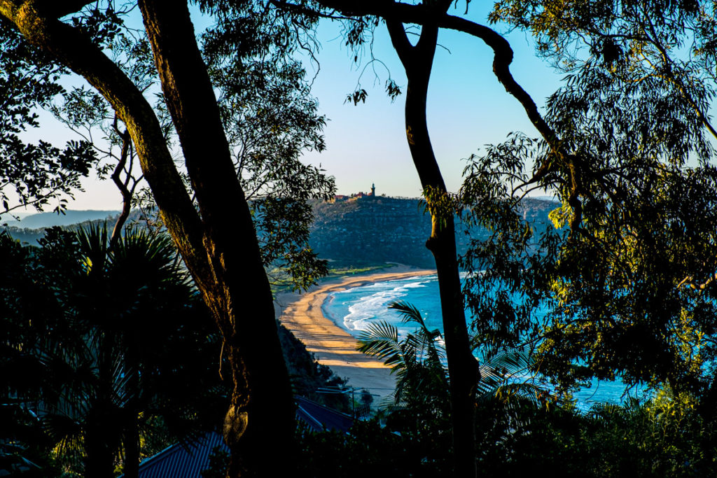 Palm Beach Sydney by Steve Jacobs, Wild Strawberries Films
