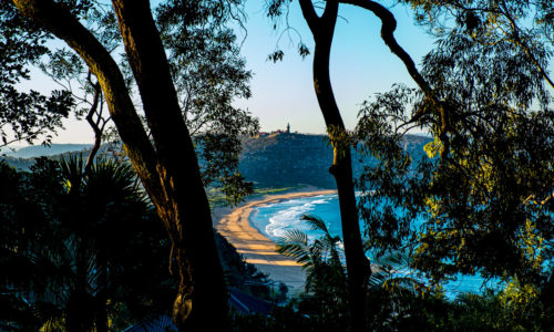 Palm Beach Sydney by Steve Jacobs, Wild Strawberries Films