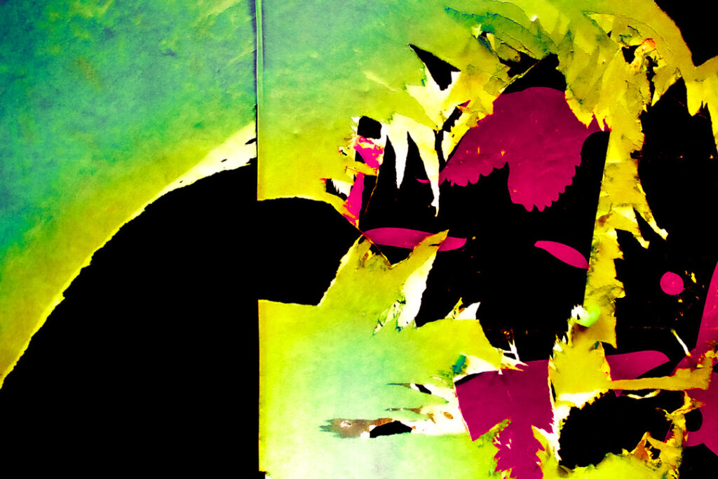 a conversation by Wild Strawberries Films photographs