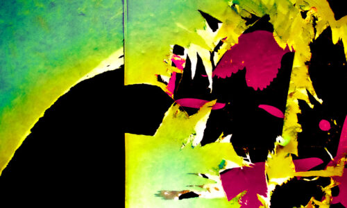 a conversation by Wild Strawberries Films photographs