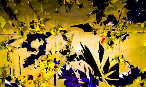 a different part by Wild Strawberries Films