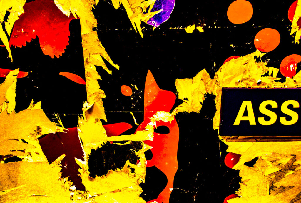 ass by Wild Strawberries Films
