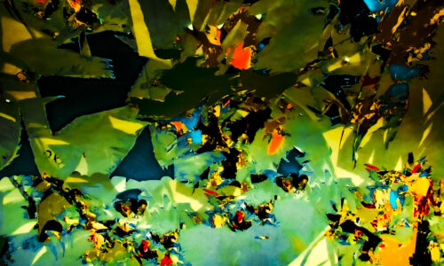 I never knew about this by Wild Strawberries Films photographs